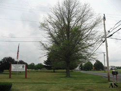 Tree om school offices property